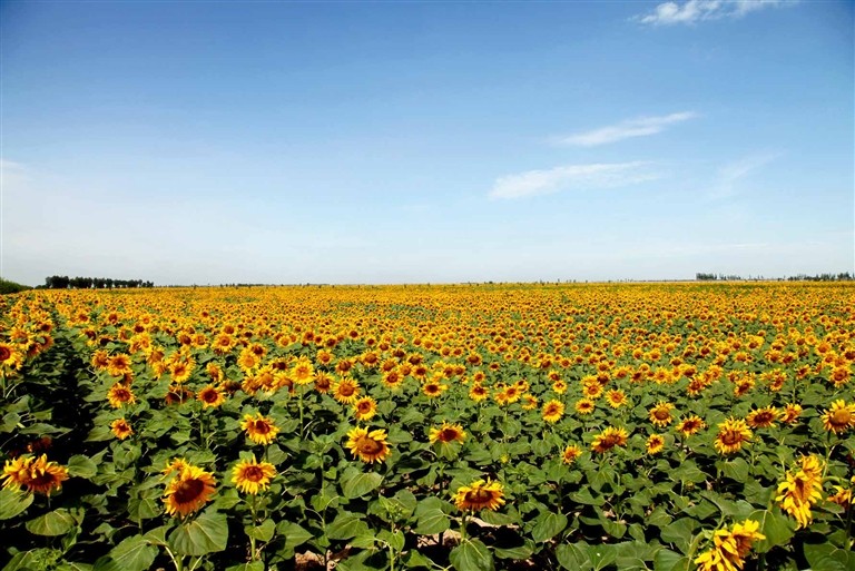 1602556368064026474.jpg 1602556368064026474.jpg