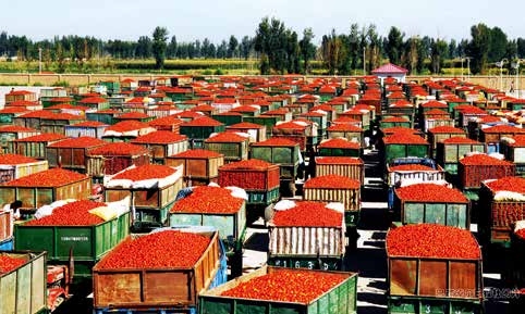 1602556452583064550.jpg W020201010358048723841.jpg