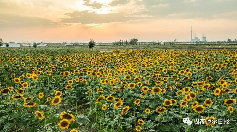 1621253308212020879.jpg 09.jpg