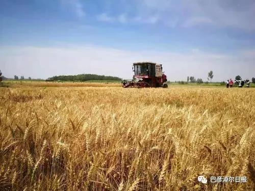 1621253319134044752.jpg 10.jpg