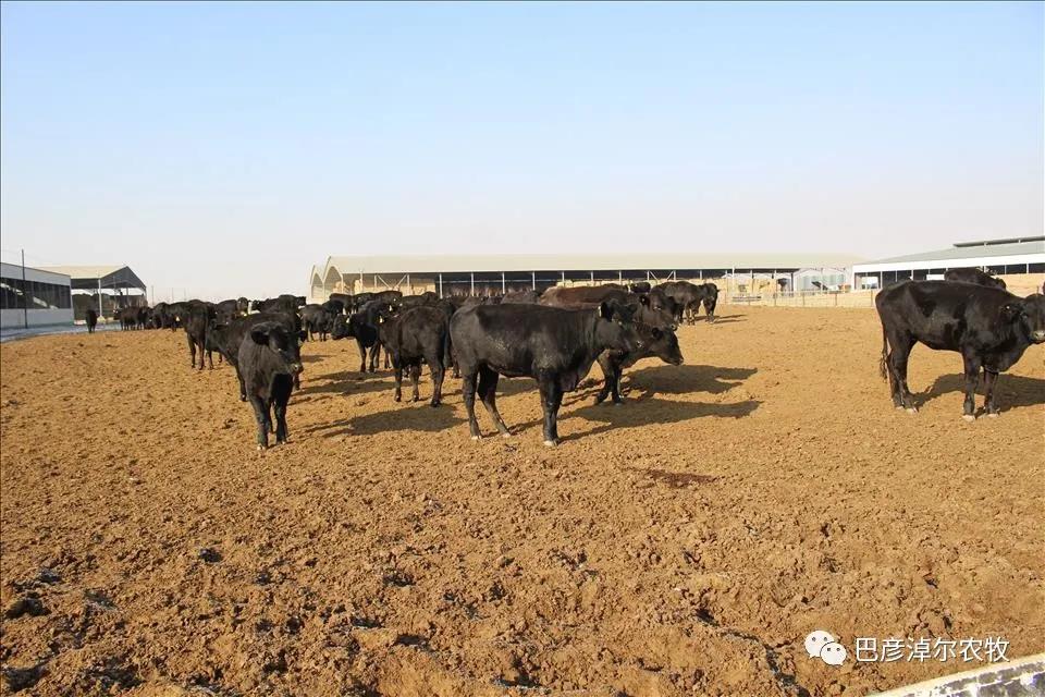 1621412887129090571.jpg 20.jpg