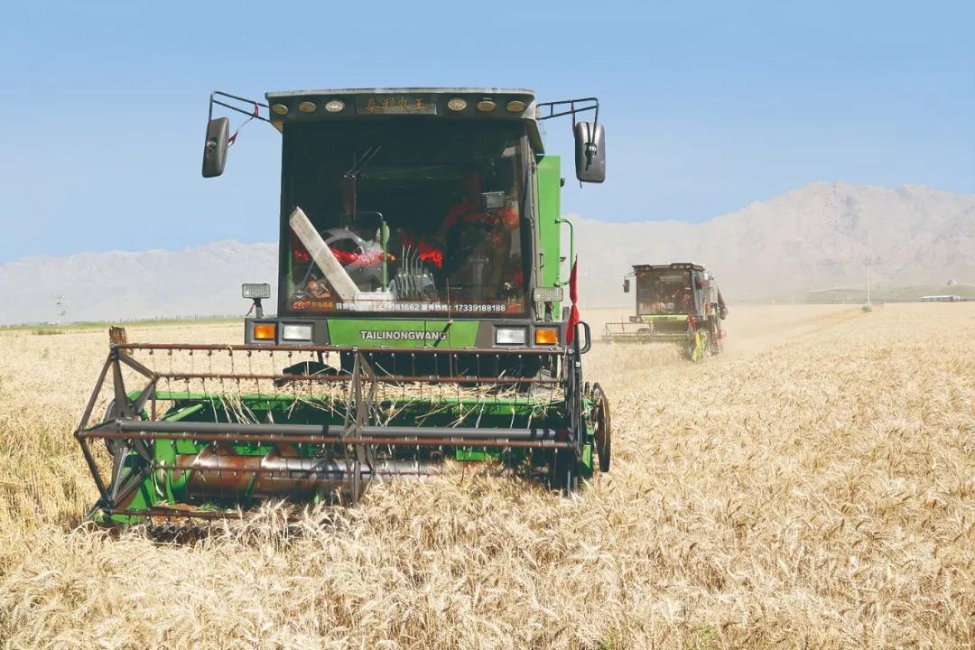 1621412939864007839.jpg 19.jpg