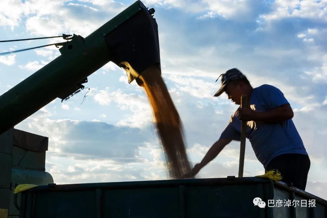 1621412999302064103.jpg 18.jpg