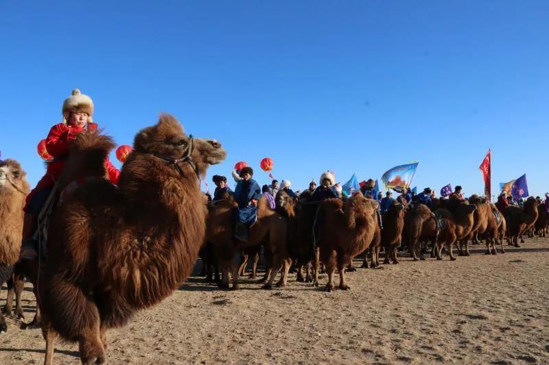 1621413067568005636.jpg 15.jpg