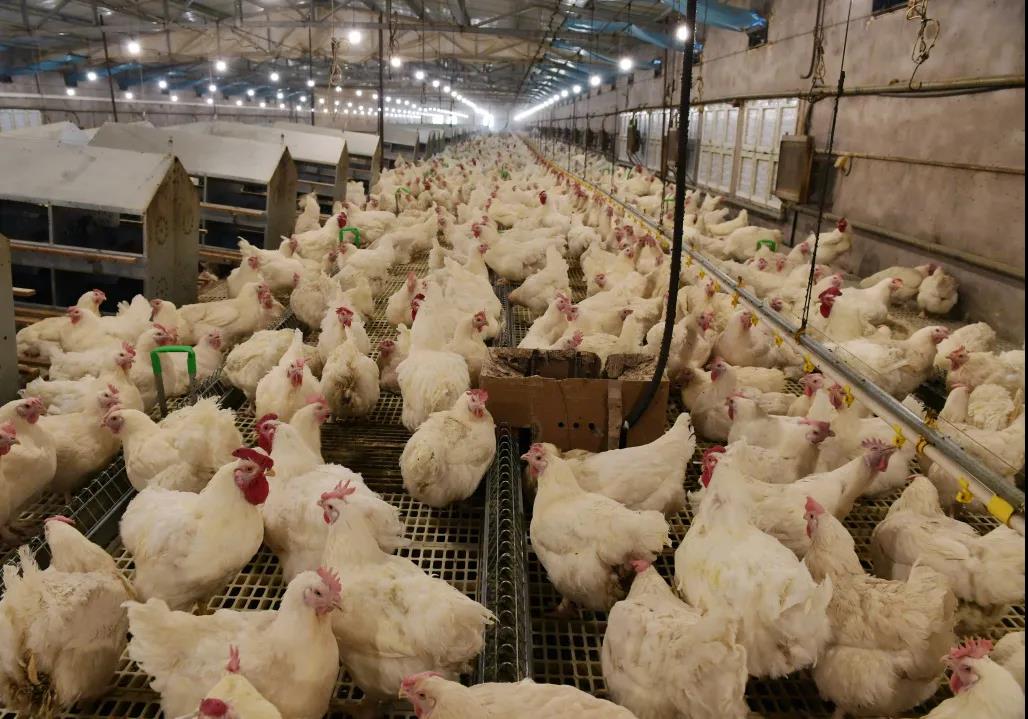 1621413081069049154.jpg 14.jpg