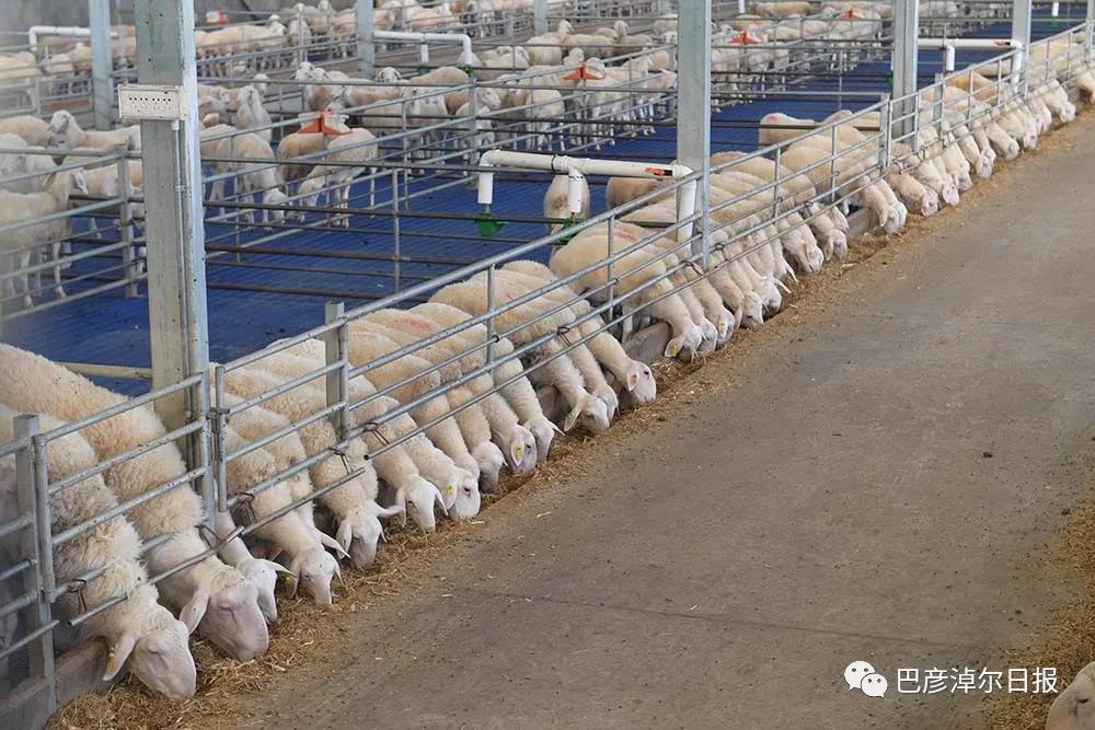 1621413098768015239.jpg 13.jpg