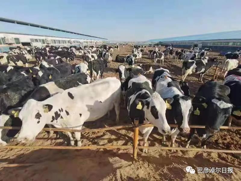 1621413113628042736.jpg 12.jpg