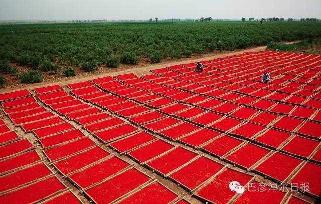 1621413198472065002.jpg 11.jpg