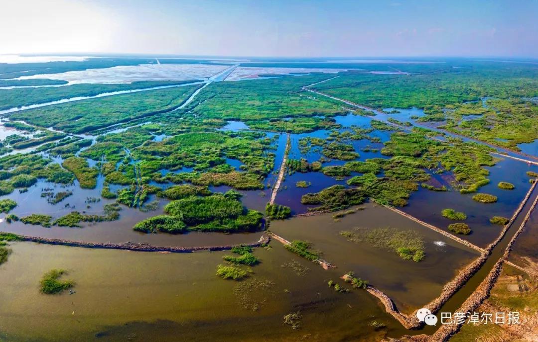 1621413221191090989.jpg 07.jpg