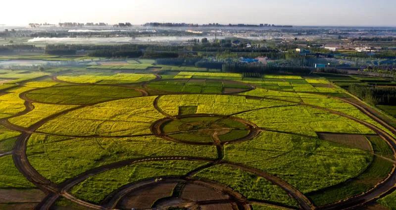 1621413315350023135.jpg 02.jpg