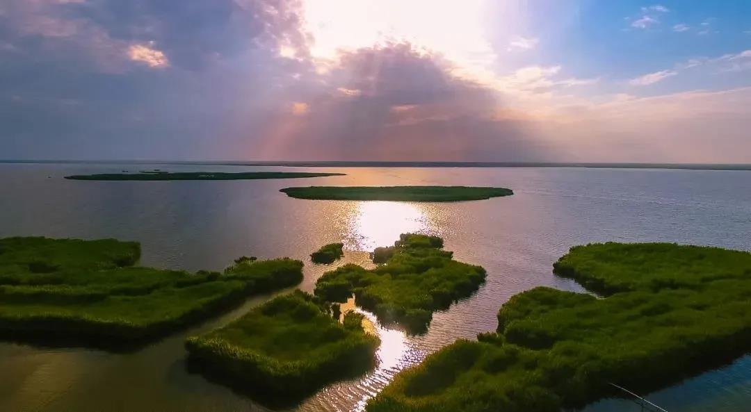 1621413331678061600.jpg 01.jpg