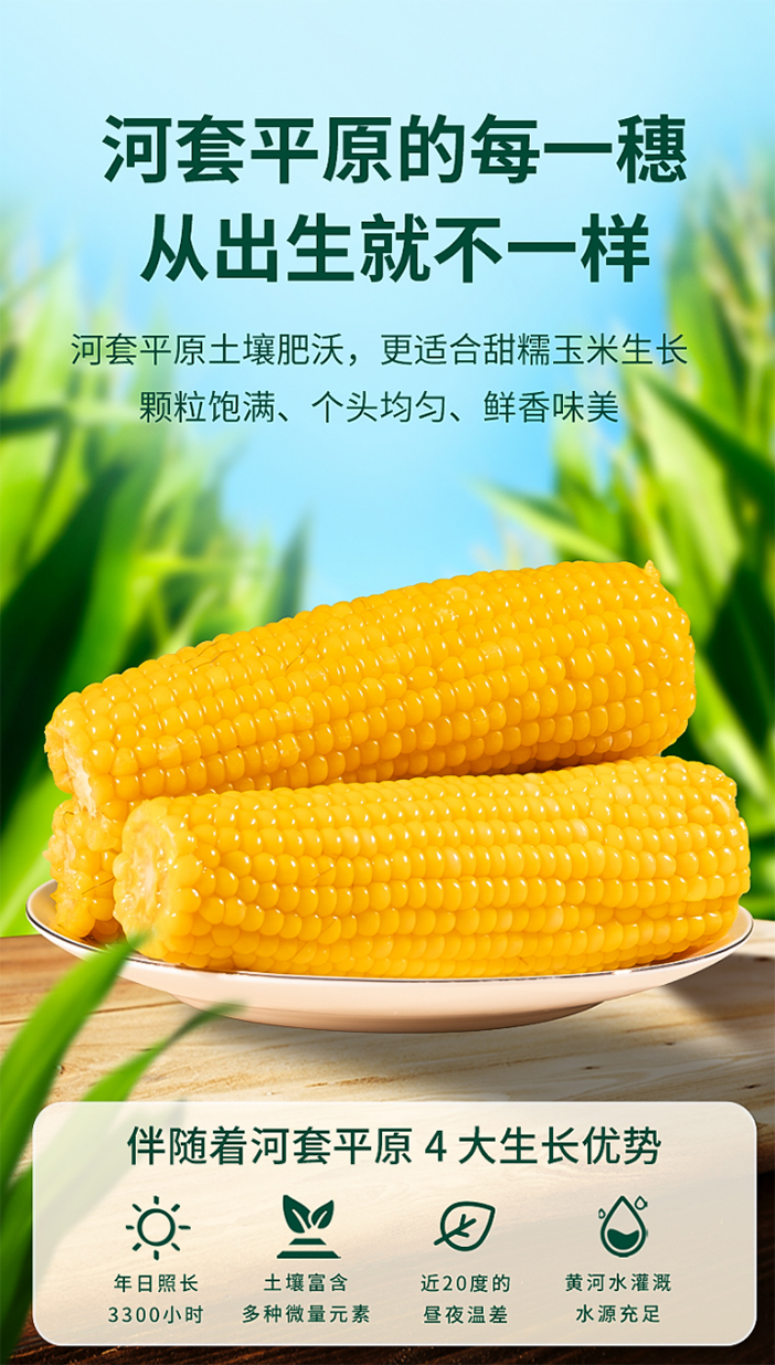 1672404759935071260.jpg 004.jpg