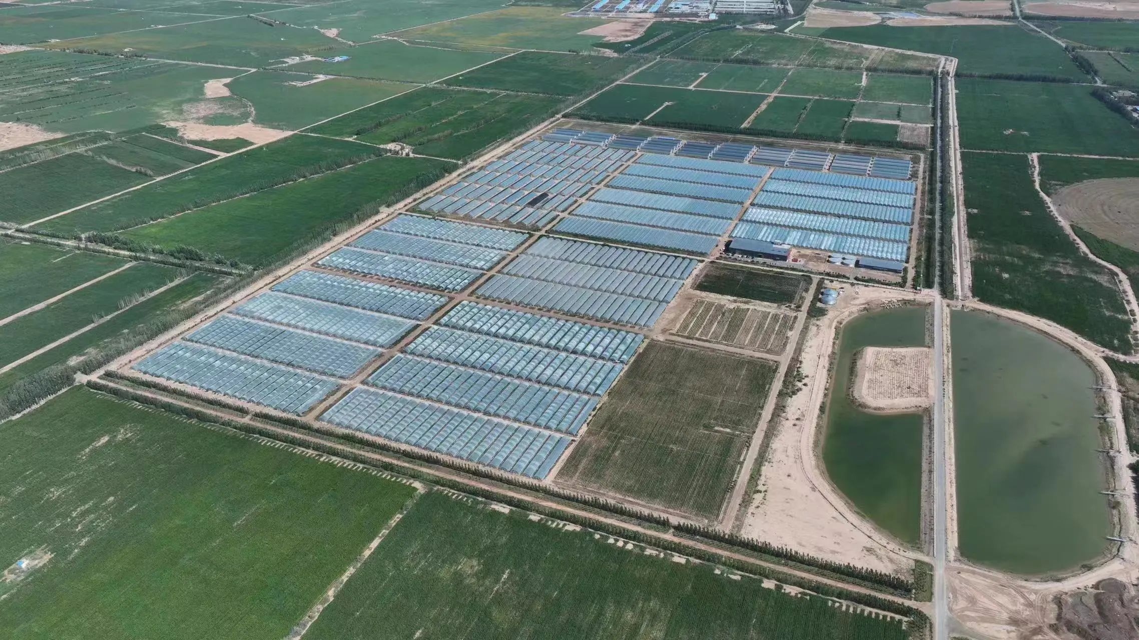 1722591468831037949.jpg 微信图片_20240802173729.jpg