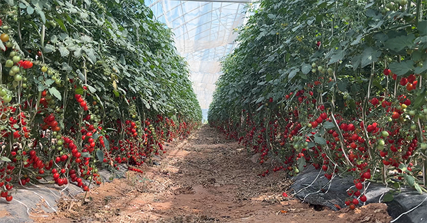 1722591574129034827.png 微信图片_20240802173735.png